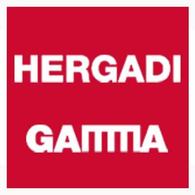 digitalización de las empresas de distribución como Hergadi Gamma