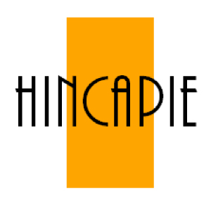 Hincapie ha mejorado su productividad con DF-SERVER